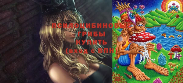 МДПВ Алзамай