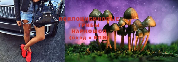 МДПВ Алзамай