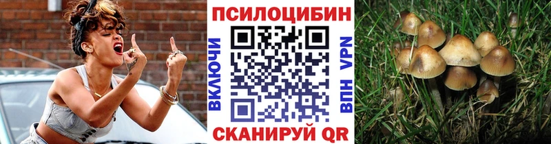Галлюциногенные грибы Magic Shrooms  Лесной 