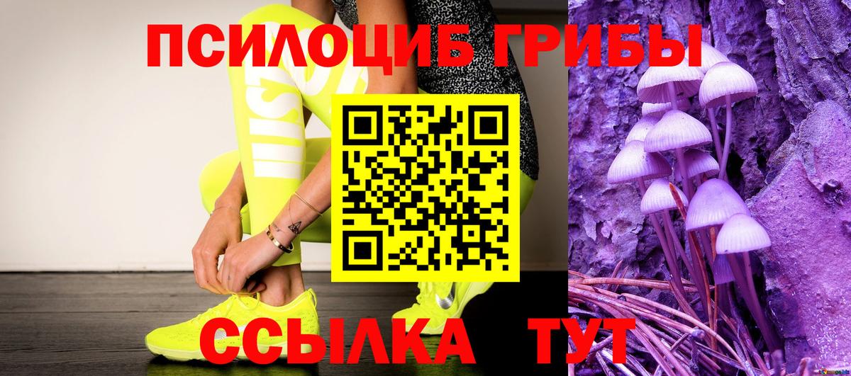 наркошоп  Псилоцибиновые грибы GOLDEN TEACHER  Вход с VPN  Лесной  Галлюциногенные грибы мухоморы 